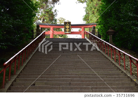 Approach to Hachimangu Shrine Approach to Hachimangu Shrine 35731696