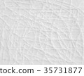 Vector creative white plastic abstract texture. 35731877
