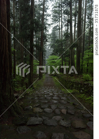 Approach / Hiraizumi Temple Hakusan Shrine 35731878