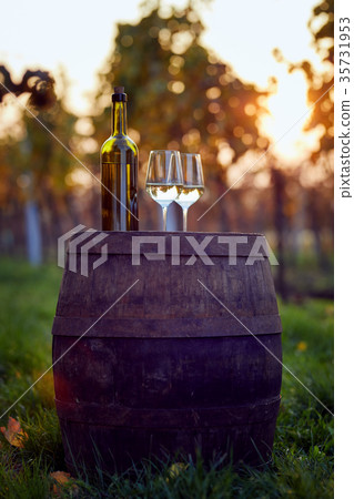 Wine tasting outside in the vineyard. Wine tasting outside in the vineyard. 35731953