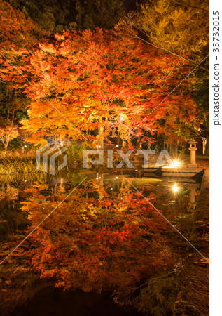 Hatogami Hachimangu寺廟秋葉 Hatogami Hachimangu寺廟秋葉 35732015
