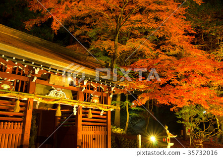 Hatogami Hachimangu寺廟秋葉 Hatogami Hachimangu寺廟秋葉 35732016