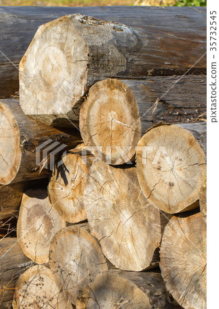 裝載的建築木材：未知類型的木材木材原木 35732545