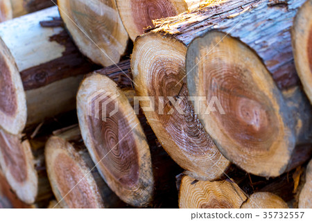 Architectural timbers loaded: timber of unknown type timber lumber log Architectural timbers loaded: timber of unknown type timber lumber log 35732557