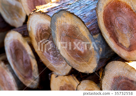 Architectural timbers loaded: timber of unknown type timber lumber log Architectural timbers loaded: timber of unknown type timber lumber log 35732558