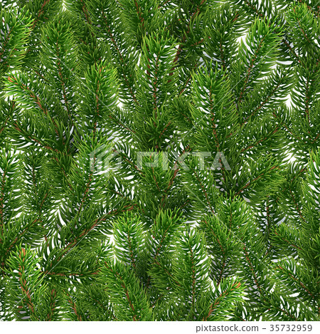 Seamless green pattern. Christmas tree branches - Stock Illustration ...