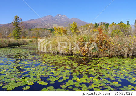 Fall in the Pond Fall in the Pond 35733028