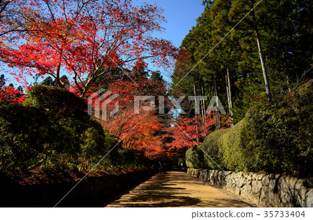Koyasan alpaca Buddha bellows road Koyasan alpaca Buddha bellows road 35733404