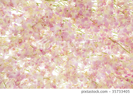Flower nature with copy space Flower nature with copy space 35733405