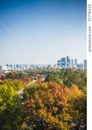 韓國旅行 35736428