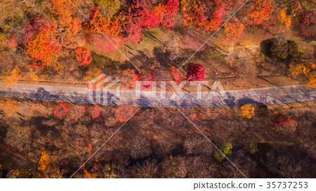 Autumn of Naejangsan National Park,South Korea 35737253