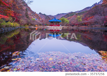 Autumn of Naejangsan National Park,South Korea 35737256