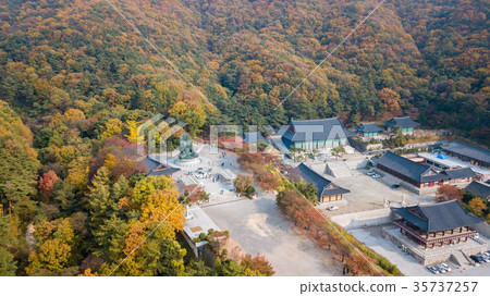 Aerial view autumn  in Temple, Seoul Korea . 35737257