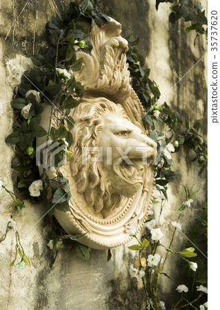 Water lion head Water lion head 35737620