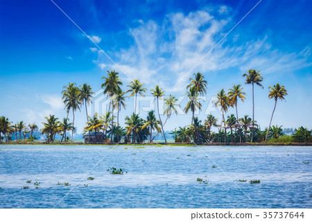 Kerala backwaters Kerala backwaters 35737644