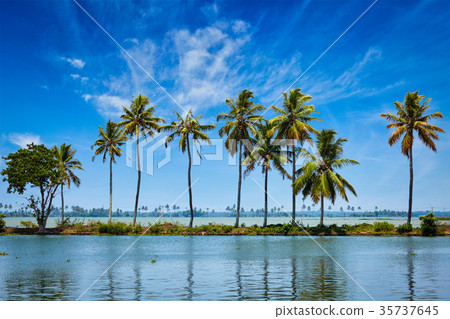 Kerala backwaters Kerala backwaters 35737645