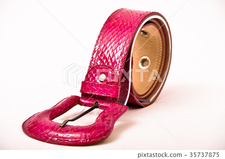 Snake skin belt 35737875
