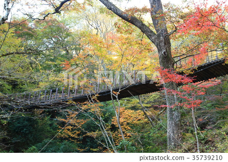 Fall dynasty dam Fall dynasty dam 35739210