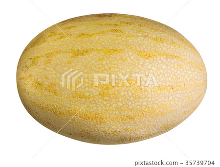 Melon isolated on white 35739704