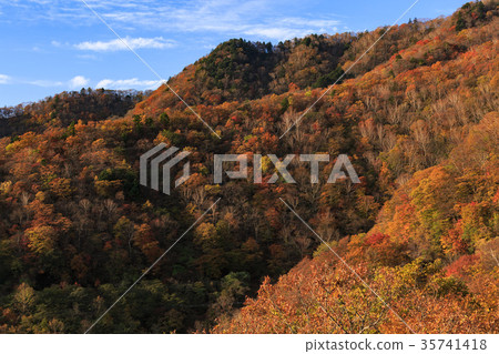 [圖片]秋葉素材山 35741418
