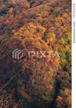 [圖片]秋葉素材山 35741419