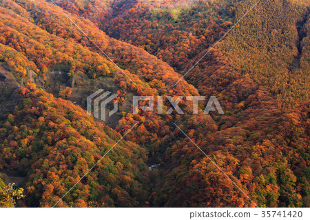 [圖片]秋葉素材山 35741420