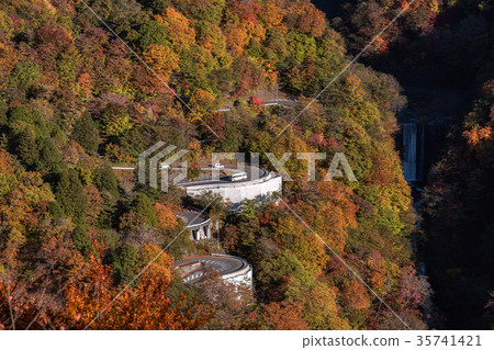 [Image] Autumn leaves material mountain 35741421