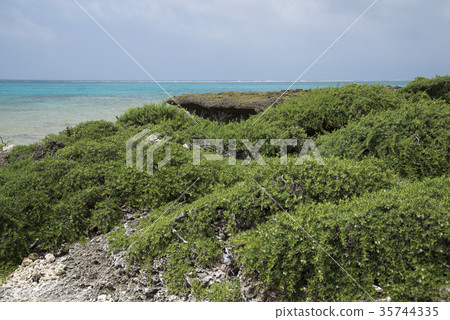 Sea and Mizuganpi of Kuroshima (Taketomi-cho, Okinawa Prefecture) Sea and Mizuganpi of Kuroshima (Taketomi-cho, Okinawa Prefecture) 35744335