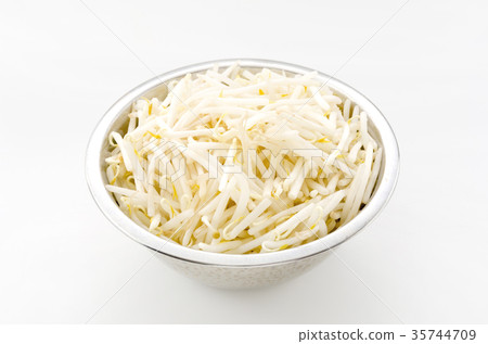 Bean sprouts 35744709