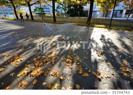 Autumn in Minato Mirai　 35744743