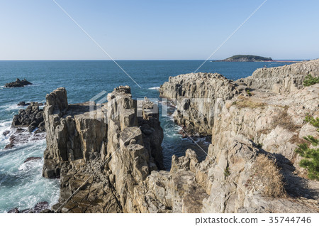 福井的驚人觀點 福井的驚人觀點 35744746