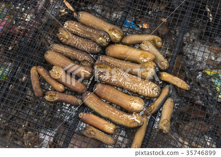 sea cucumbers on stove 35746899