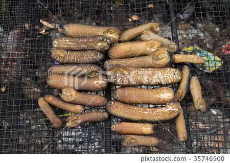 sea cucumbers on stove 35746900