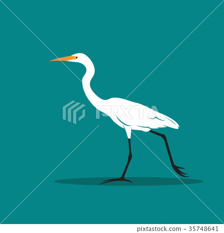 Vector of Heron or egret design. 35748641