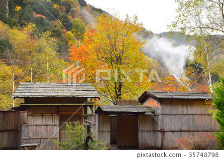 Hot water appearance of Megumi 35748798