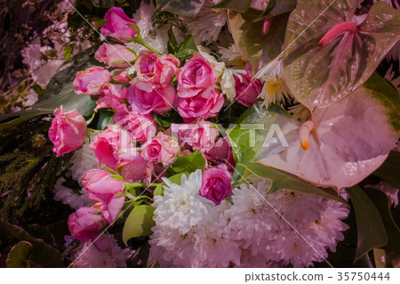 roses flowers decoration at flower market roses flowers decoration at flower market 35750444