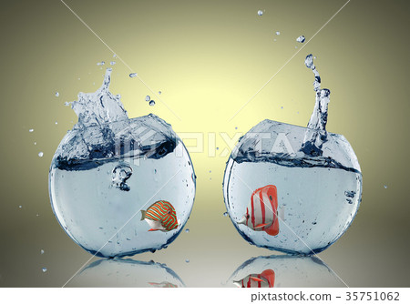 Exotic fish 35751062