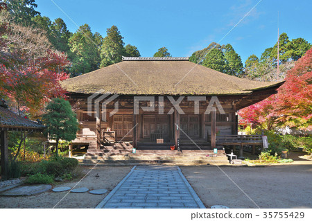 Konan Chosuji寺廟秋葉 35755429