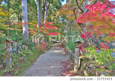 Autumn leaves of Konan Chosuji Temple 35755453