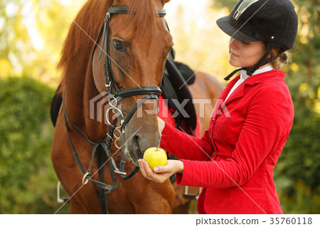Jockey to feed horse with apple Jockey to feed horse with apple 35760118
