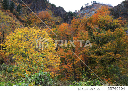 Autumn leaves in the foothills Takokura Rest Office Autumn leaves in the foothills Takokura Rest Office 35760604
