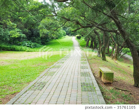  Forest park 35761105