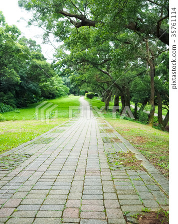 Forest park Forest park 35761114