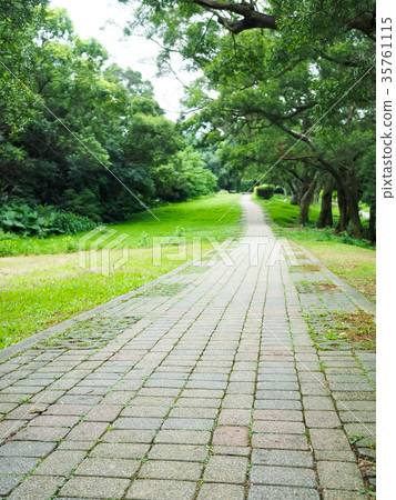  森林公園 35761115