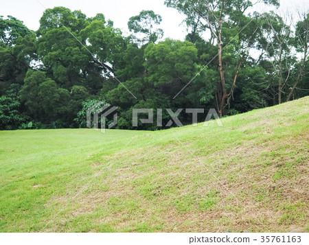 Forest park Forest park 35761163