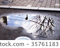 Landscape reflected in a puddle 35761183