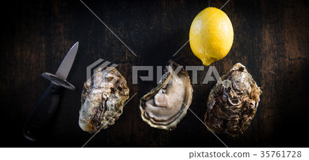 Opened oysters on stone slate plate with lemon and oyster knife Opened oysters on stone slate plate with lemon and oyster knife 35761728