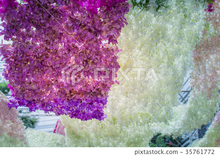 beautiful decoration of flowers at flower market 35761772