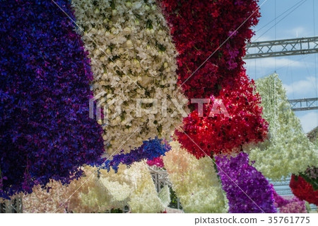 beautiful decoration of flowers at flower market 35761775