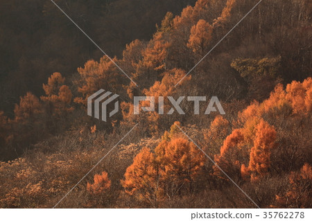染成紅色的海藻岩石山 染成紅色的海藻岩石山 35762278